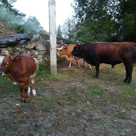 Casa Do Piorno Melgaço
